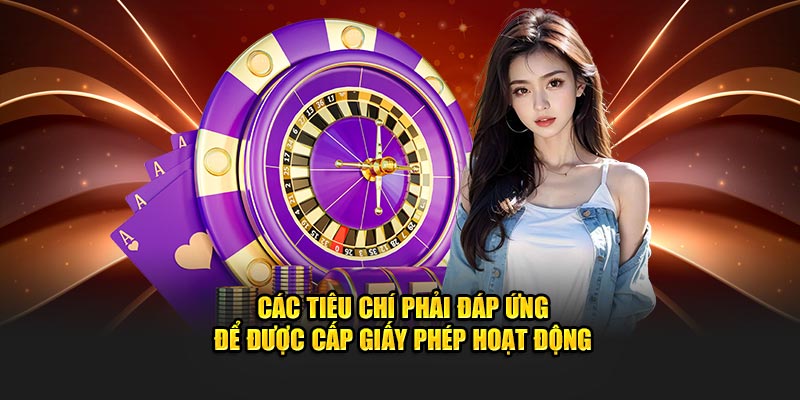 Các tiêu chí phải đáp ứng để được cấp giấy phép