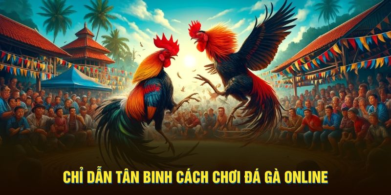 Chỉ dẫn tân binh cách chơi đá gà online