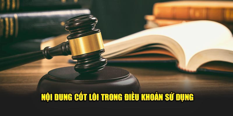 Điều khoản thiết yếu trong thỏa thuận sử dụng