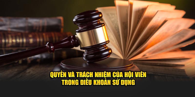 Quyền và trách nhiệm của hội viên trong điều khoản